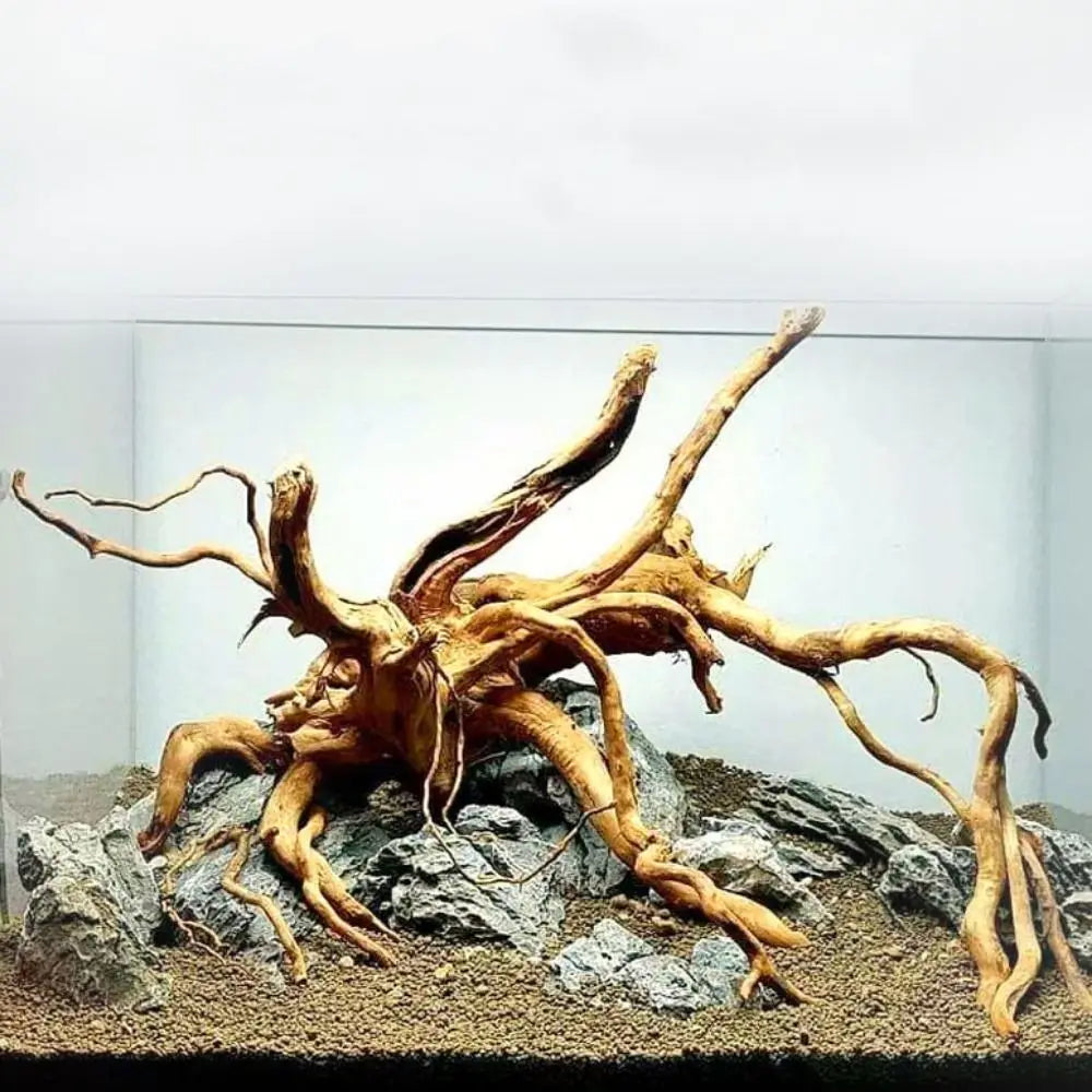 20-25CM Large Aquarium Driftwood Natural Fish Tank Plant Decor Tree Fish Bowl Stump Aquarium Fishtank Landscaping Decor Pet