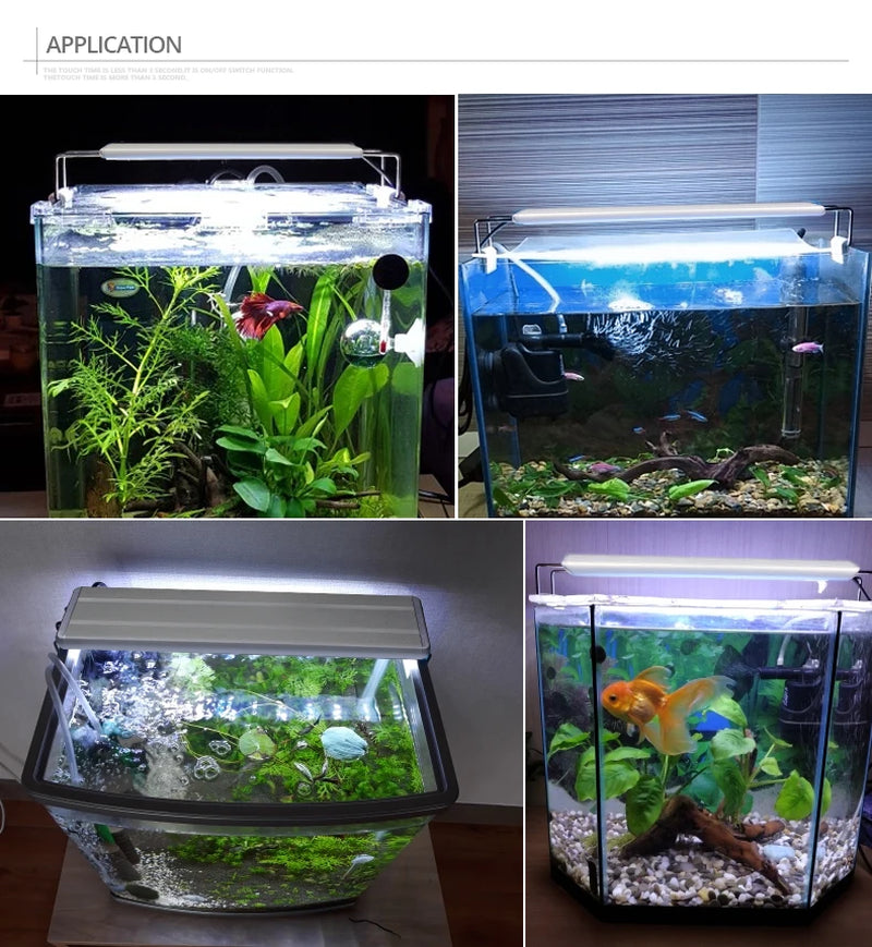 Plants Growing Lights Fish Tank Lights Small Clip Lights Aquarium Irradiation Accessories LED Light Decoration Lamp