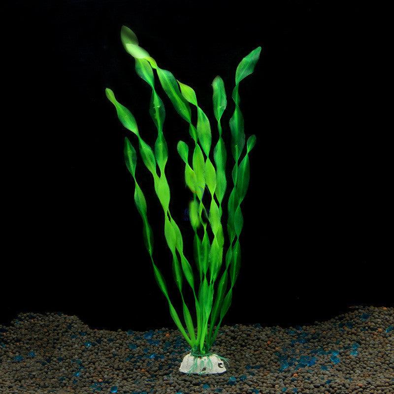 North American Aquarium Oasis: Vibrant Water Kelp Grass Collection