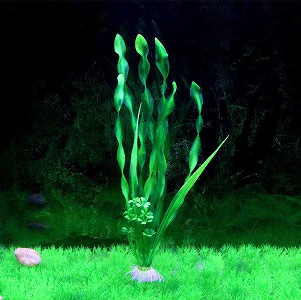 North American Aquarium Oasis: Vibrant Water Kelp Grass Collection