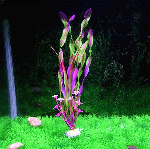 North American Aquarium Oasis: Vibrant Water Kelp Grass Collection