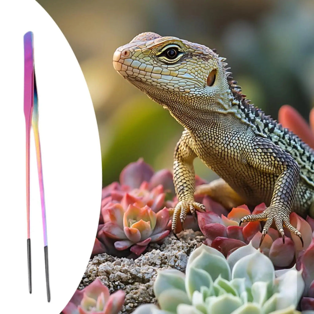 Aquarium Tweezers Reptile Feeding Tongs Rust Resistant Soft Tip Metal Clamp for Equipment for Reptiles Terrarium