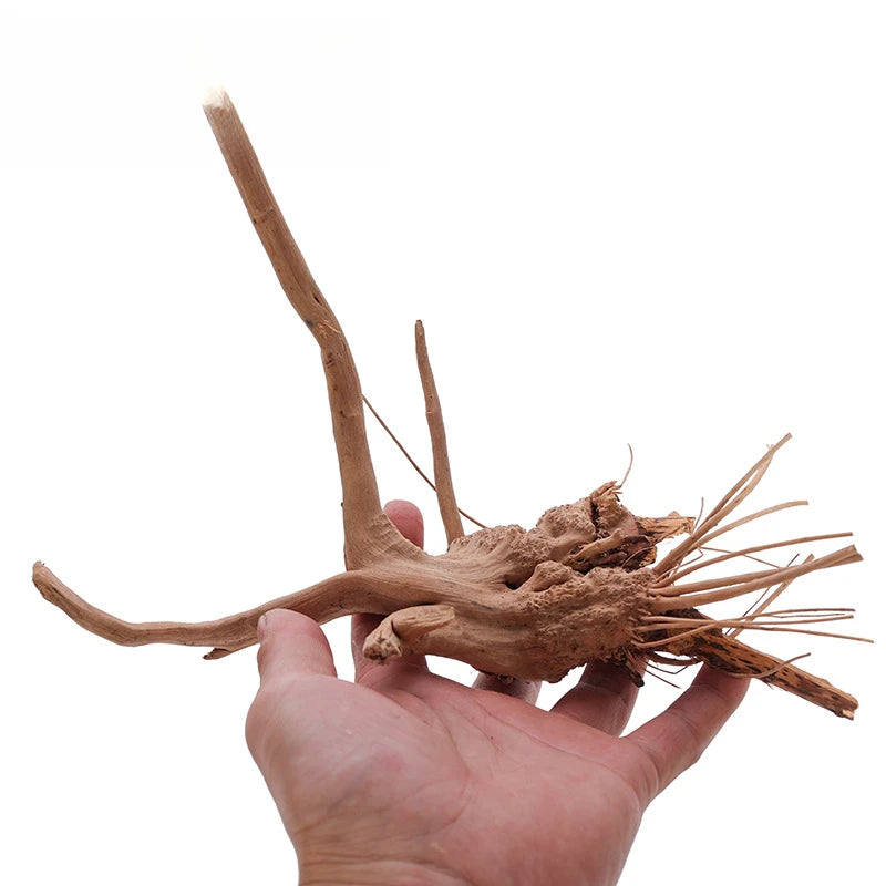 Fish Tank Sunken Wood Decoration Driftwood for Aquarium Reptile Creative Reptile Cylinder Fish Tank Ornament Aquarium Decor