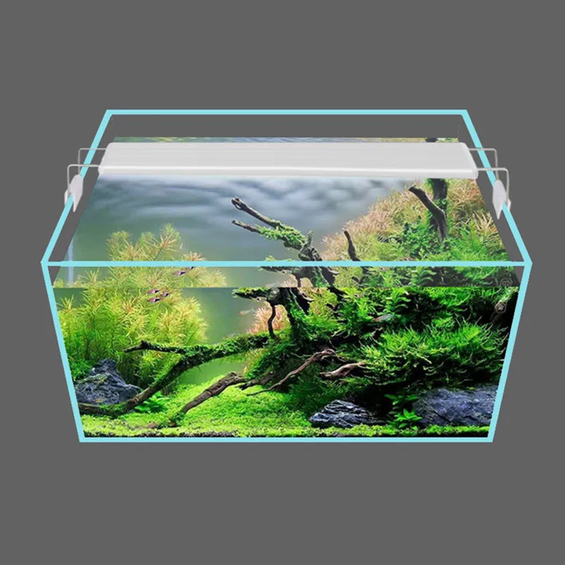 Plants Growing Lights Fish Tank Lights Small Clip Lights Aquarium Irradiation Accessories LED Light Decoration Lamp