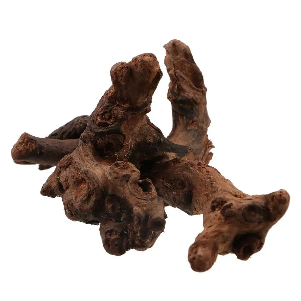 Creative Irregular Shape Coral Wood Natural Wood Driftwood Trunk Air Pineapple Tree Roots for Aquarium
