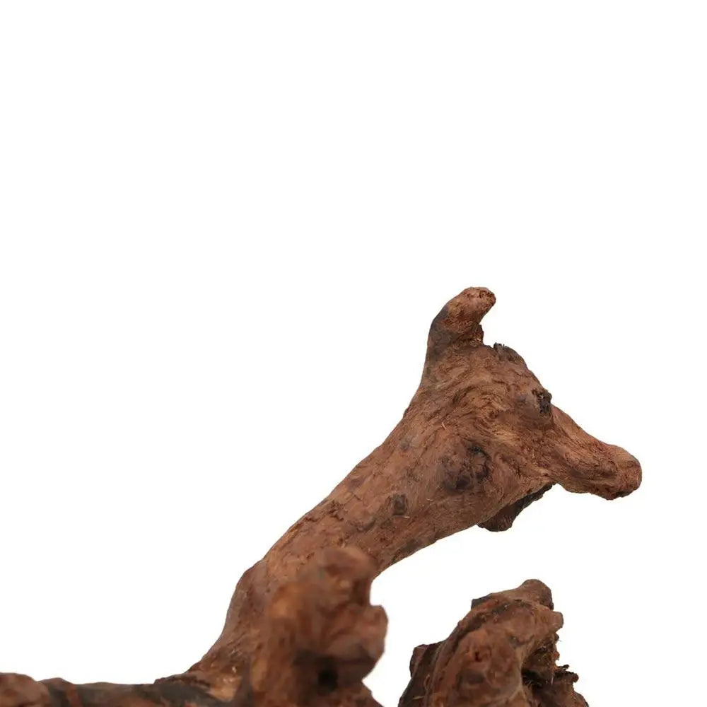 Creative Irregular Shape Coral Wood Natural Wood Driftwood Trunk Air Pineapple Tree Roots for Aquarium