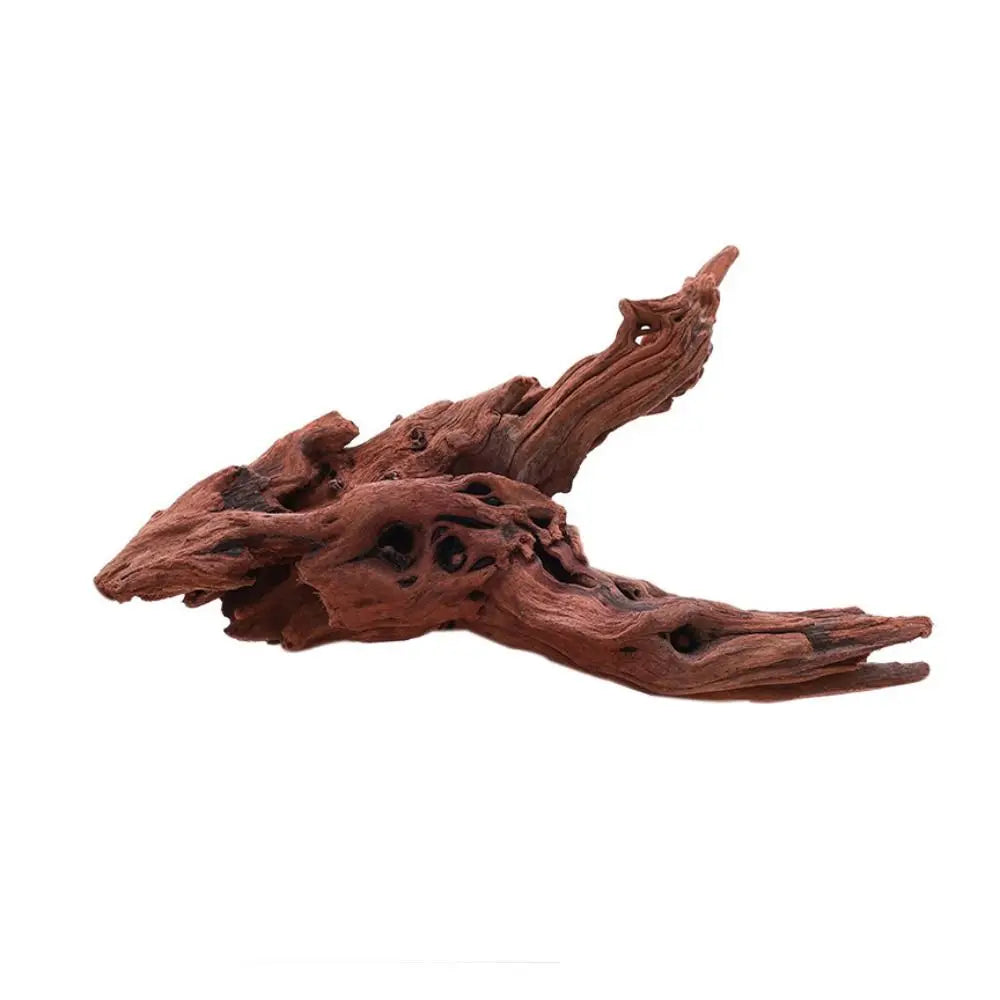 Creative Irregular Shape Coral Wood Natural Wood Driftwood Trunk Air Pineapple Tree Roots for Aquarium