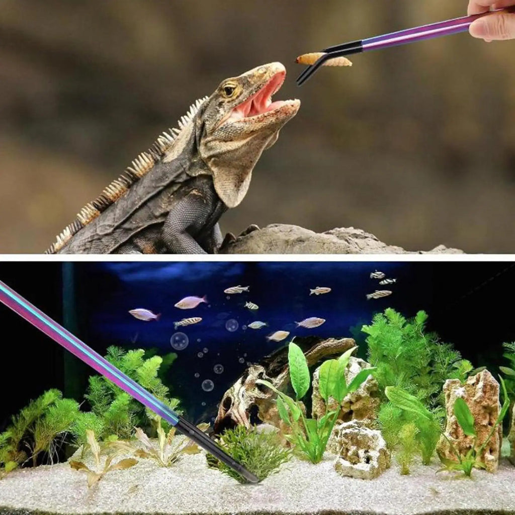 Aquarium Tweezers Reptile Feeding Tongs Rust Resistant Soft Tip Metal Clamp for Equipment for Reptiles Terrarium