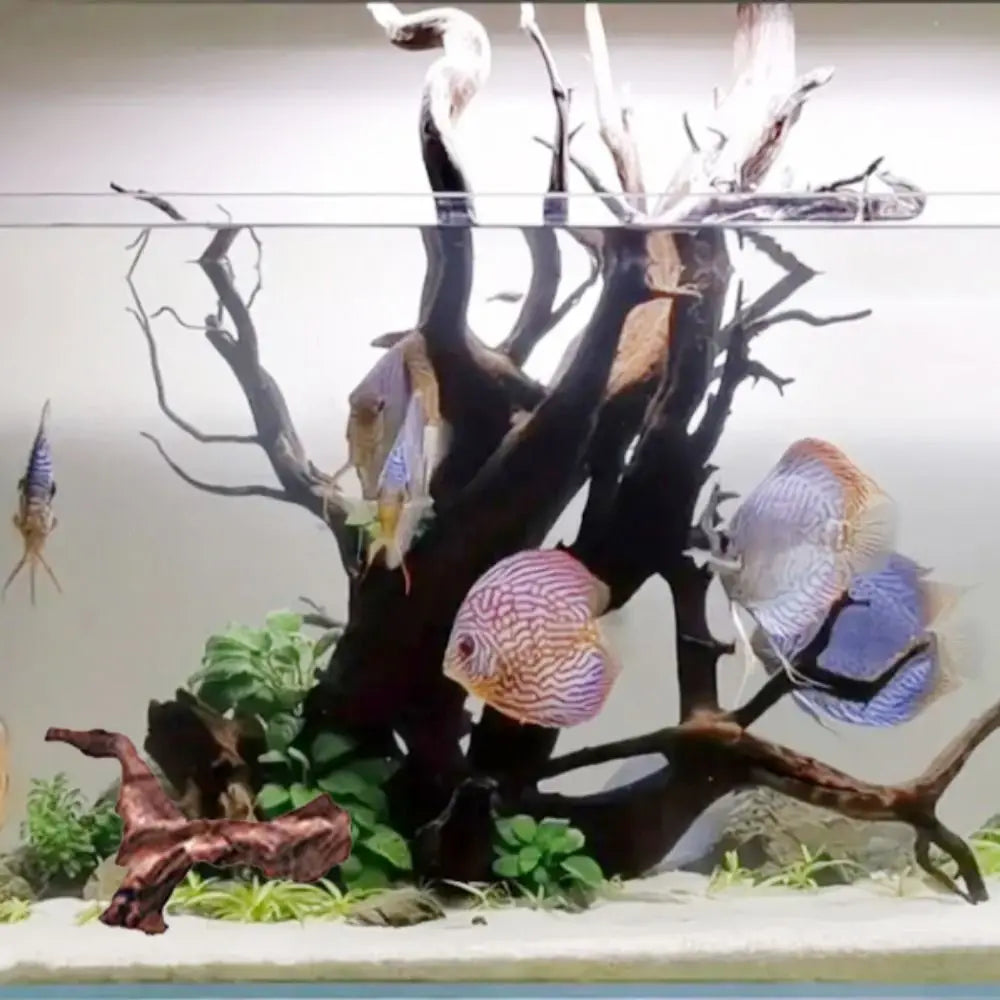 Creative Irregular Shape Coral Wood Natural Wood Driftwood Trunk Air Pineapple Tree Roots for Aquarium