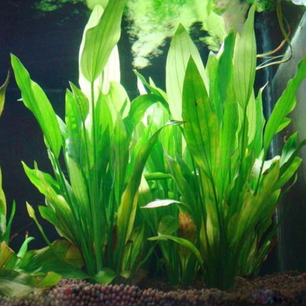 15CM/10CM Underwater Artificial Aquatic Plant Ornaments for Aquarium Fish Tank Green Water Grass Landscape Decoration Hot