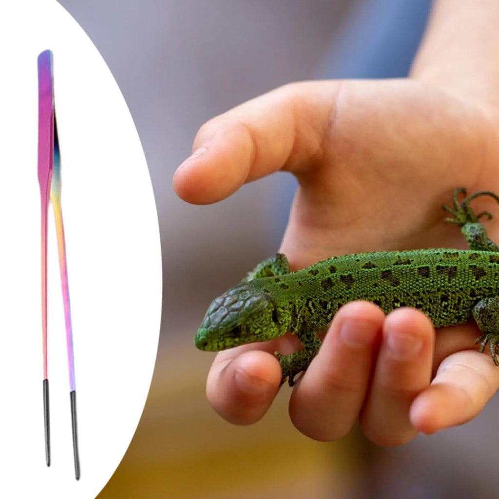 Aquarium Tweezers Reptile Feeding Tongs Rust Resistant Soft Tip Metal Clamp for Equipment for Reptiles Terrarium