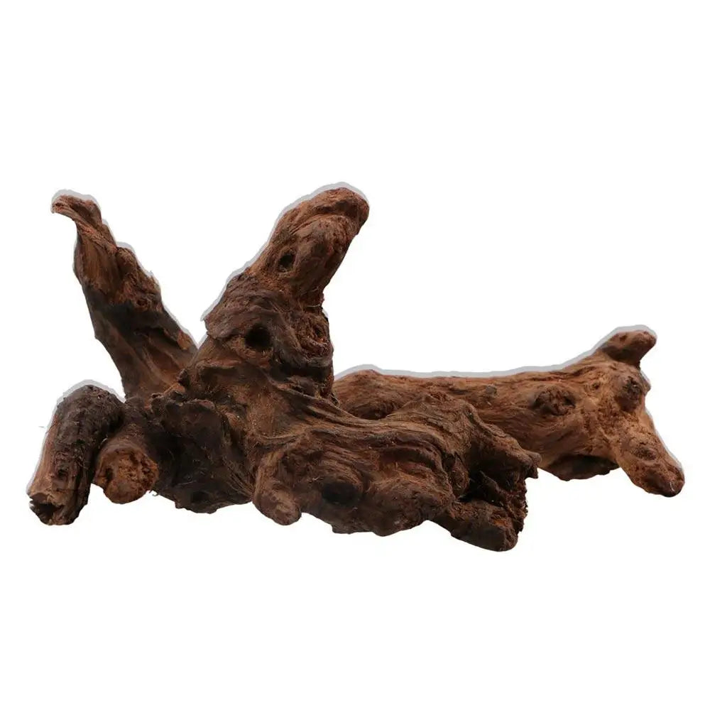 Creative Irregular Shape Coral Wood Natural Wood Driftwood Trunk Air Pineapple Tree Roots for Aquarium