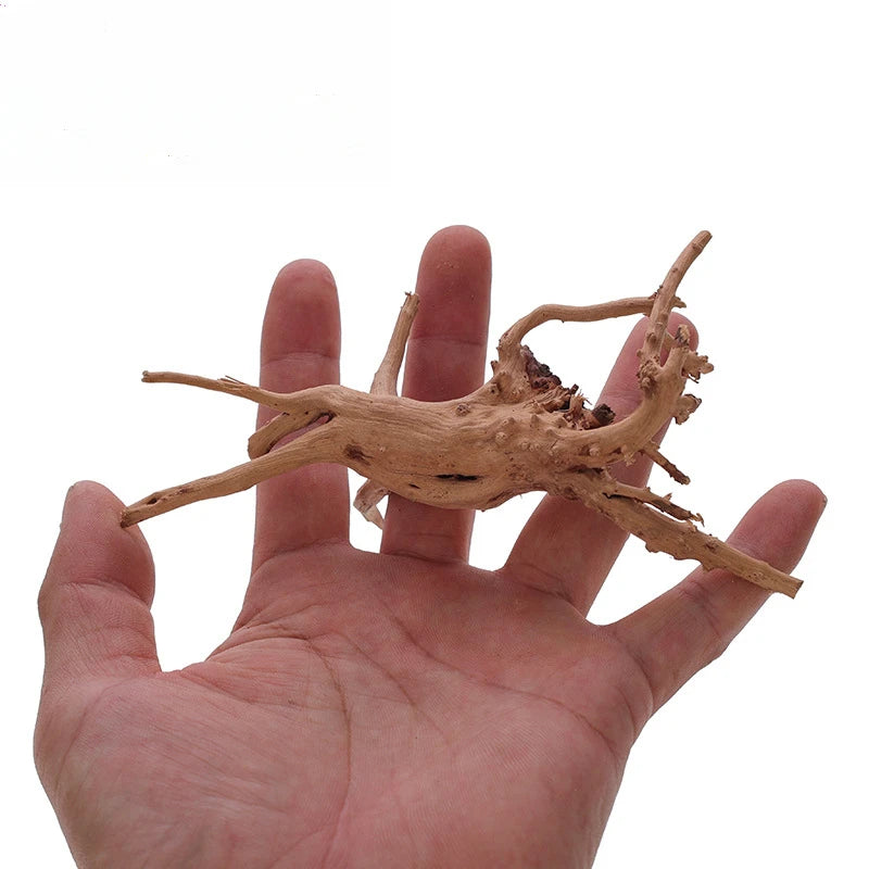 Fish Tank Sunken Wood Decoration Driftwood for Aquarium Reptile Creative Reptile Cylinder Fish Tank Ornament Aquarium Decor