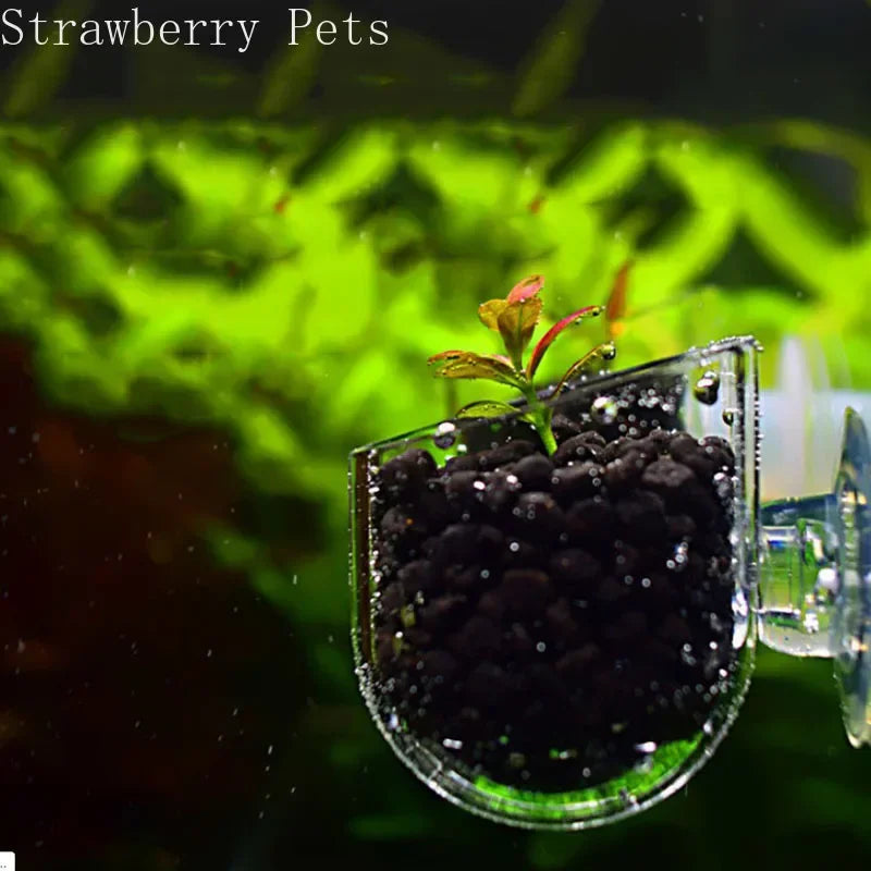 Aquarium Decoration Hanging Fish Tank Mini Crystal Acrylic Glass Pot Polka Water Planting Cylinder Cup Feeding Accessories