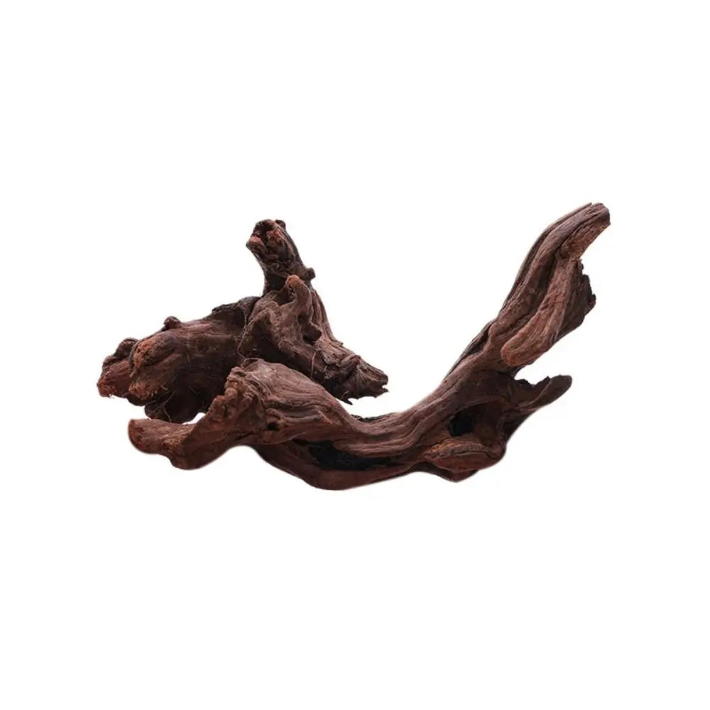 Creative Irregular Shape Coral Wood Natural Wood Driftwood Trunk Air Pineapple Tree Roots for Aquarium